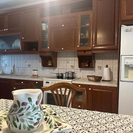 קאלאבאקה Vintage Central House מראה חיצוני תמונה